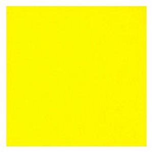 Papel crepÃ© CANSON 0.5x2.5m, amarillo 15