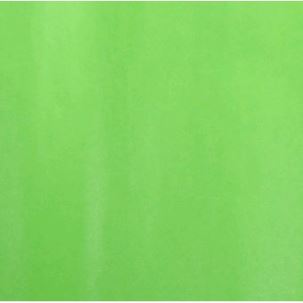 Papel de china SADIPAL 51x76 cm verde pÃ¡lido